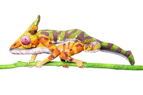 Tyromotion Bodypaint Animals 02