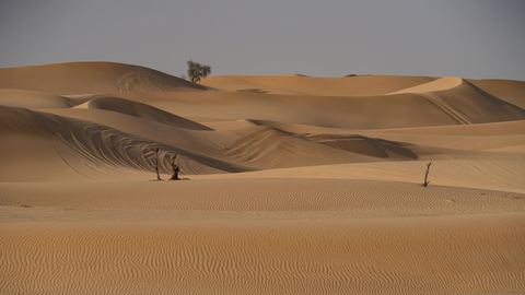 Vereinigte Arabische Emirate 15